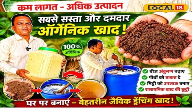 जैविक खाद बनाना हुआ आसान, किसानों को कम लागत में मिलेगा ज्यादा फायदा