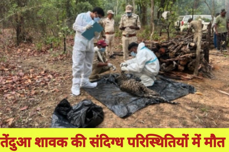 तेंदुआ शावक की संदिग्ध परिस्थितियों में मौत