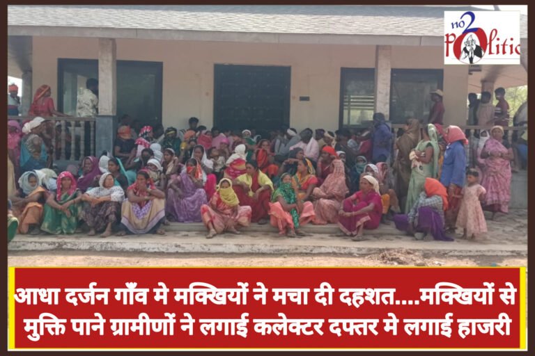 आधा दर्जन गाँव मे मक्खियों ने मचा दी दहशत….मक्खियों से मुक्ति पाने ग्रामीणों ने लगाई कलेक्टर दफ्तर मे लगाई हाजरी