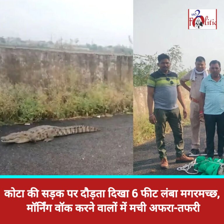 कोटा की सड़क पर दौड़ता दिखा 6 फीट लंबा मगरमच्छ, मॉर्निंग वॉक करने वालों में मची अफरा-तफरी