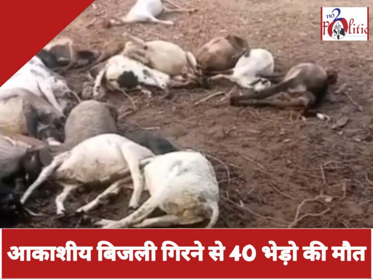 आकाशीय बिजली गिरने से 40 भेड़ो की मौत