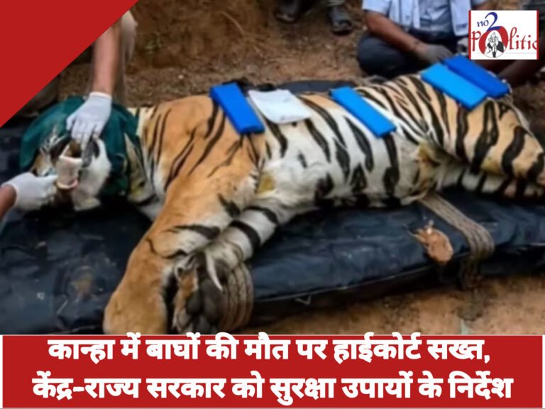 कान्हा में बाघों की मौत पर हाईकोर्ट सख्त, केंद्र-राज्य सरकार को सुरक्षा उपायों के निर्देश