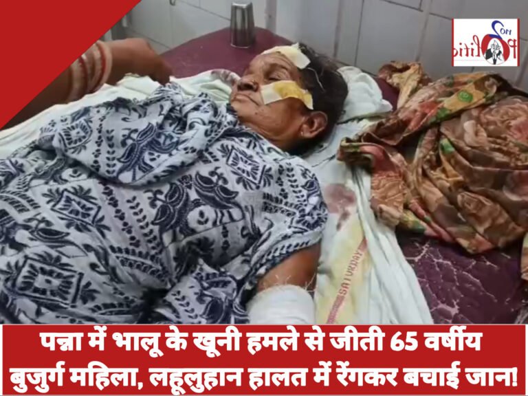 पन्ना में भालू के खूनी हमले से जीती 65 वर्षीय बुजुर्ग महिला, लहूलुहान हालत में रेंगकर बचाई जान!