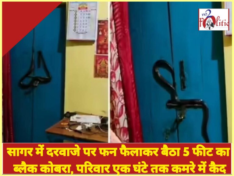 सागर में दरवाजे पर फन फैलाकर बैठा 5 फीट का ब्लैक कोबरा, परिवार एक घंटे तक कमरे में कैद