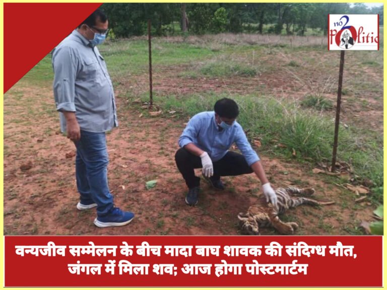 वन्यजीव सम्मेलन के बीच मादा बाघ शावक की संदिग्ध मौत, जंगल में मिला शव; आज होगा पोस्टमार्टम