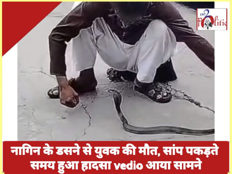 नागिन के डसने से युवक की मौत, सांप पकड़ते समय हुआ हादसा vedio आया सामने