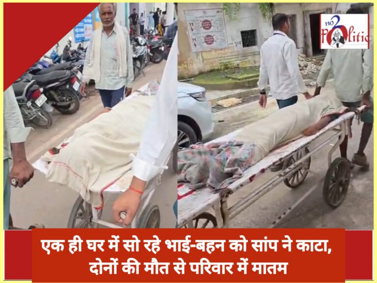 एक ही घर में सो रहे भाई-बहन को सांप ने काटा, दोनों की मौत से परिवार में मातम