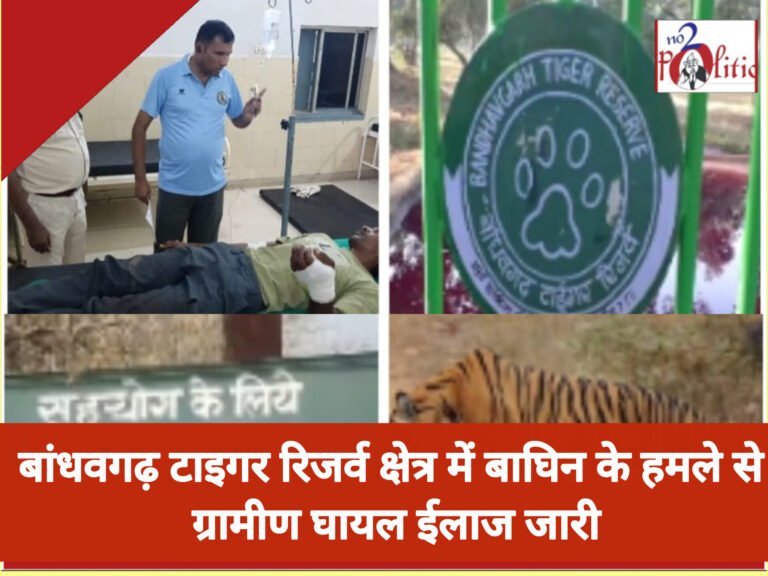 बांधवगढ़ टाइगर रिजर्व क्षेत्र में बाघिन के हमले से ग्रामीण घायल ईलाज जारी