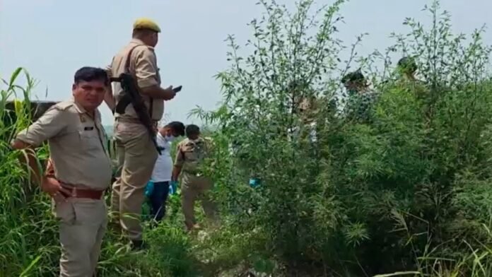 6a9ef2a232a2c-crime-patrol-plan-to-evade-capture-from-cid-072130880-16x9.jpg