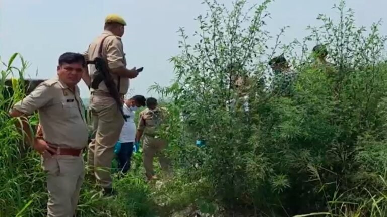 ‘क्राइम पेट्रोल’ और ‘CID’ देखकर बनाया हत्या का प्लान, 600 CCTV और 2000 गाड़ियों की जांच ने खोला 14 साल की परी की हत्या का राज – baghpat blind murder 14 year old pari cctv crime patrol cid husband wife arrested lclar