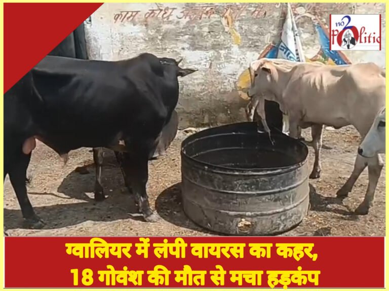 ग्वालियर में लंपी वायरस का कहर, 18 गोवंश की मौत से मचा हड़कंप