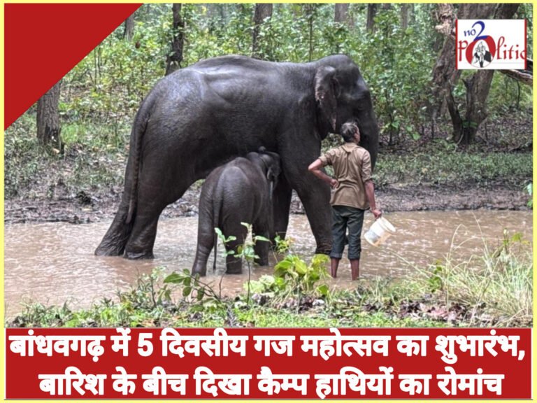 बांधवगढ़ में 5 दिवसीय गज महोत्सव का शुभारंभ, बारिश के बीच दिखा कैम्प हाथियों का रोमांच
