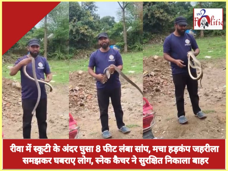 रीवा में स्कूटी के अंदर घुसा 8 फीट लंबा सांप, मचा हड़कंप जहरीला समझकर घबराए लोग, स्नेक कैचर ने सुरक्षित निकाला बाहर