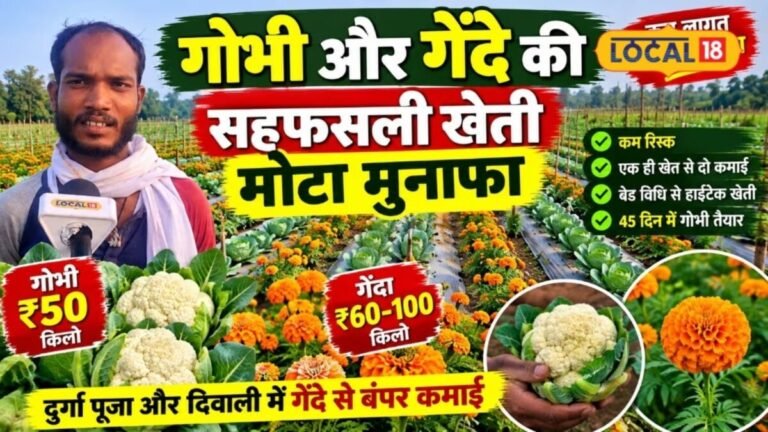 एक खाने वाला.. दूसरा सजाना वाला फूल, दोनों मिलकर खेती में किसान की कमाई में कर देते हैं बल्ले-बल्ले