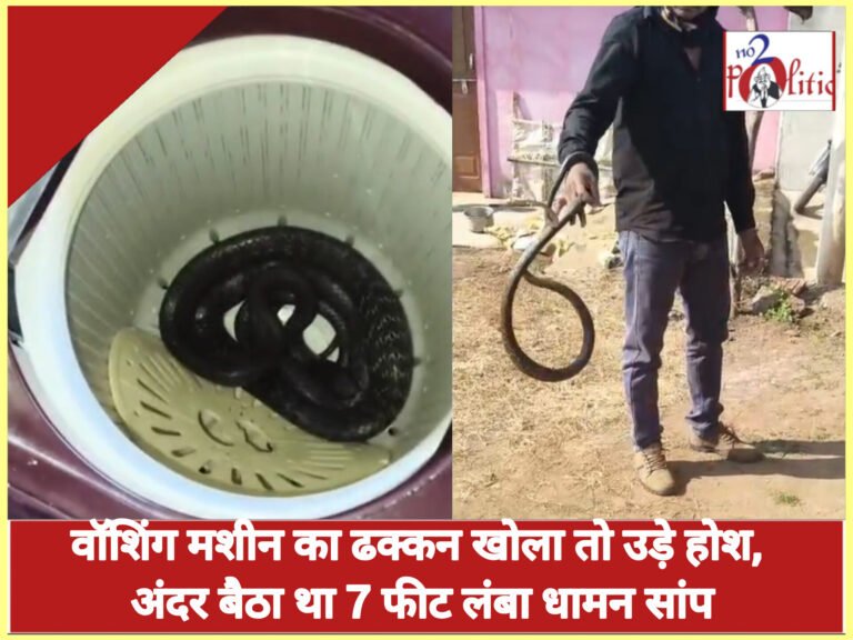 वॉशिंग मशीन का ढक्कन खोला तो उड़े होश, अंदर बैठा था 7 फीट लंबा धामन सांप
