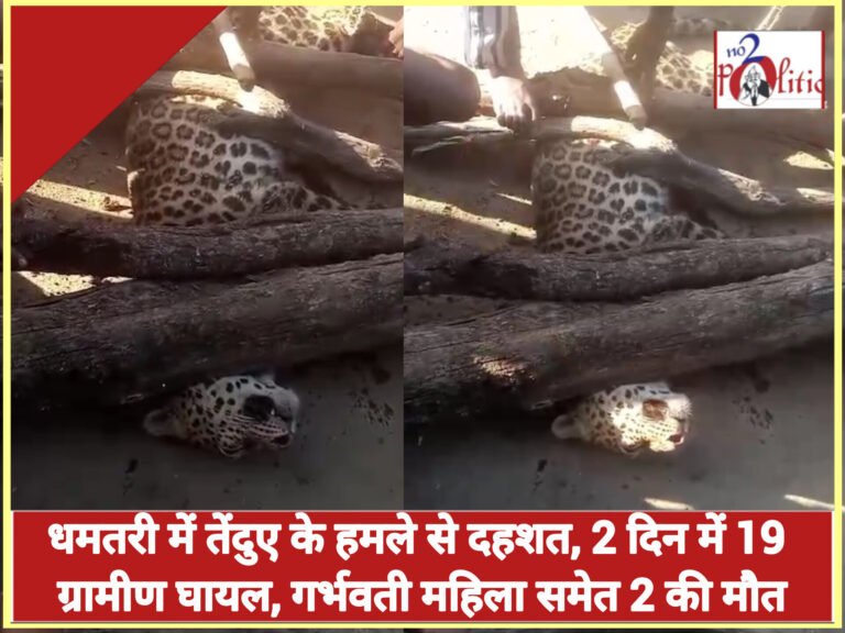 धमतरी में तेंदुए के हमले से दहशत, 2 दिन में 19 ग्रामीण घायल, गर्भवती महिला समेत 2 की मौत