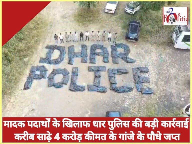 मादक पदार्थों के खिलाफ धार पुलिस की बड़ी कार्रवाई करीब साढ़े 4 करोड़ कीमत के गांजे के पौधे जप्त