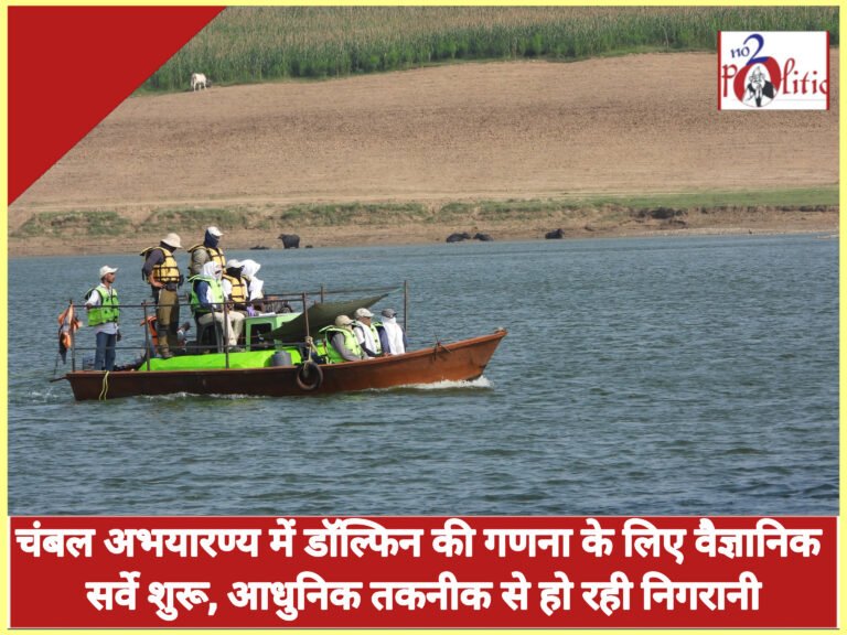 चंबल सैंक्चुअरी में डॉल्फिन की गणना के लिए वैज्ञानिक सर्वेक्षण शुरू, आधुनिक तकनीक से हो रही निगरानी