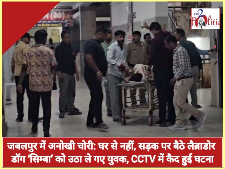 जबलपुर में अनोखी चोरी: घर से नहीं, सड़क पर बैठे लैब्राडोर डॉग ‘सिम्बा’ को उठा ले गए युवक, CCTV में कैद हुई घटना
