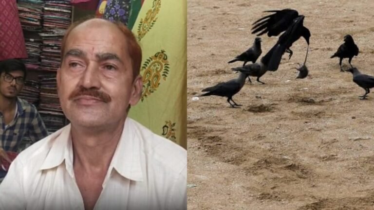 प्रकाश और कौवों की दोस्ती देख.. भूल जाएंगे आरिफ-सारस की जोड़ी, रोजाना मिलने आते हैं कौवें, खाकर हो जाते हैं फुर